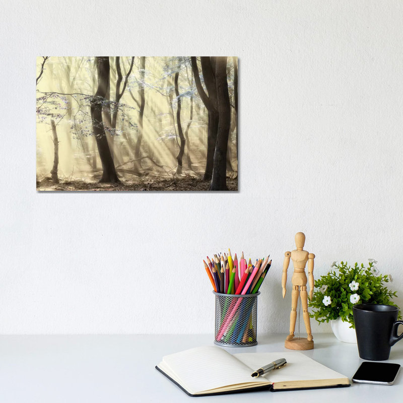 Forest Dimensions by Lars Van De Goor - Wrapped Canvas Print, 20.32 cm H x 30.48 cm W