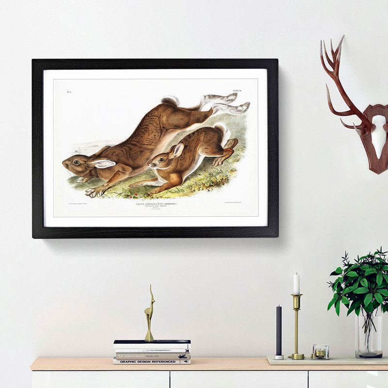 Northern Hares by J.W. Audubon - Picture Frame Painting Print, 27cm H x 36cm W x 2cm D, Black Framed