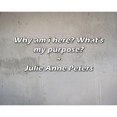 Citation de Julie Anne Peters: Pourquoi suis-je ici? Quel est mon but?