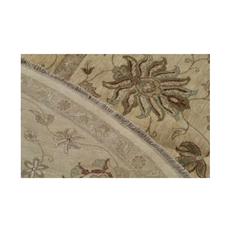 Wool Oriental Area Rug in Cream