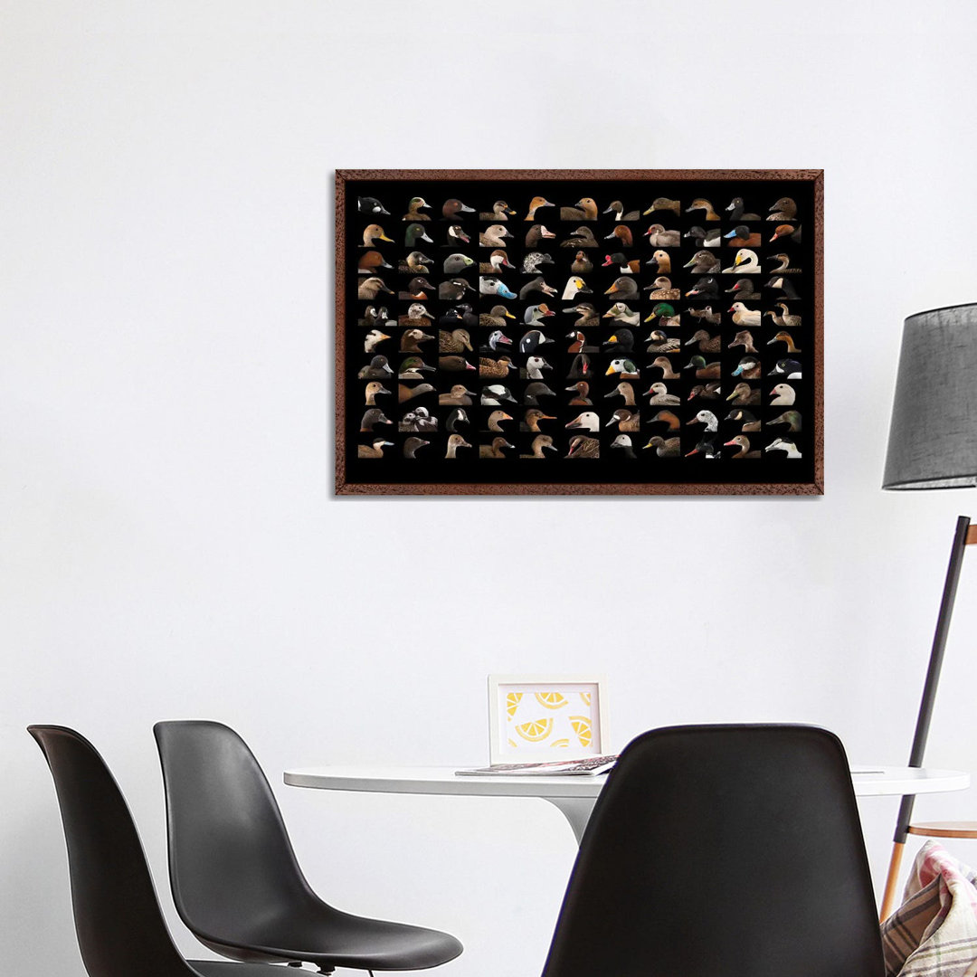 A Composite Of 110 Species Of Ducks And Geese von Joel Sartore - Gallery-Wrapped Canvas Giclée