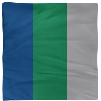 Serviette pour dîner de hockey Vancouver