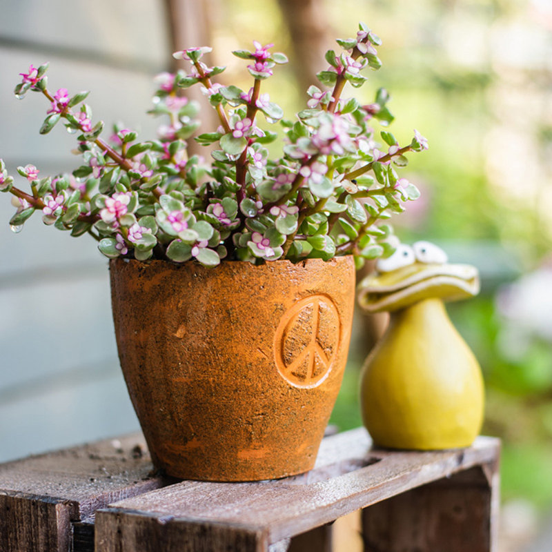 Batum Handmade Pot Planter, 2.95" H x 2.95" W x 2" D