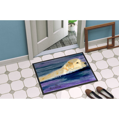 Non-Slip Indoor Doormat