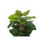 120cm Faux Banana Leaf Plant in Pot