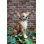 Sitting Dog Chihuahua Statue