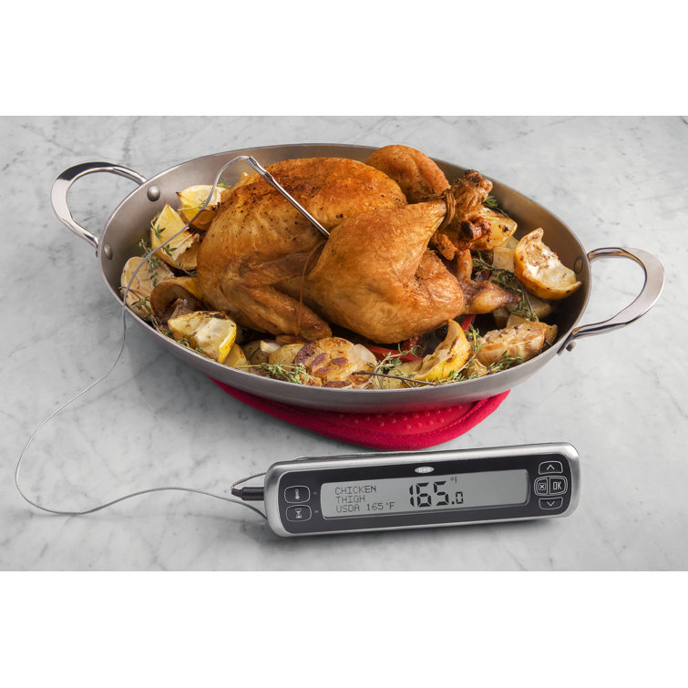 OXO GG CHEF's PRECISION DIGITAL LEAVE-IN THERMOMETER & Reviews