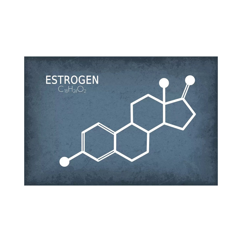 Estrogen Molecule - Wrapped Canvas Print, 101.6 cm H x 66.04 cm W x 1.91 cm D