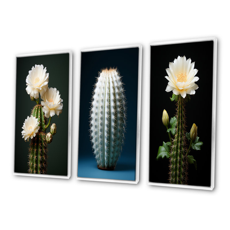 Cactus, isolement ivoire, Cadre flottant blanc, H 40 po x l 60 po