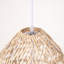 Luminaire suspendu beige à 1 lumière Ariyella