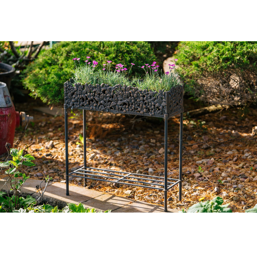 Middendorf Metal Elevated Planter Canora Grey