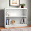 Paulica Standard Bookcase-942813927