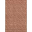 Premium Machine Washable Cerrito AMF514 Terracotta Rug-103832481