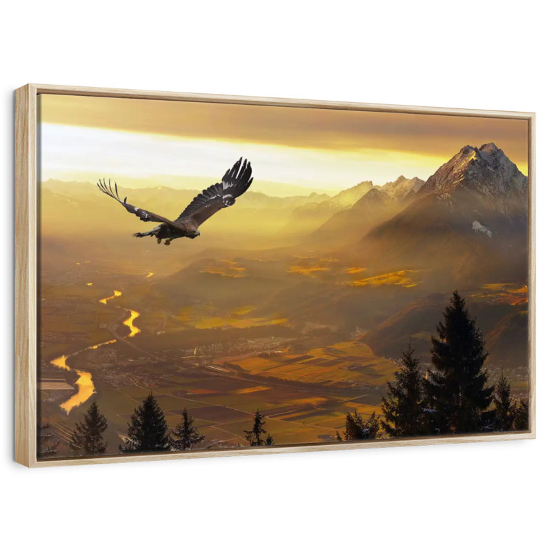 Aigle royal au coucher du soleil, Cadre flottant en bois naturel, 37 po x 25 po