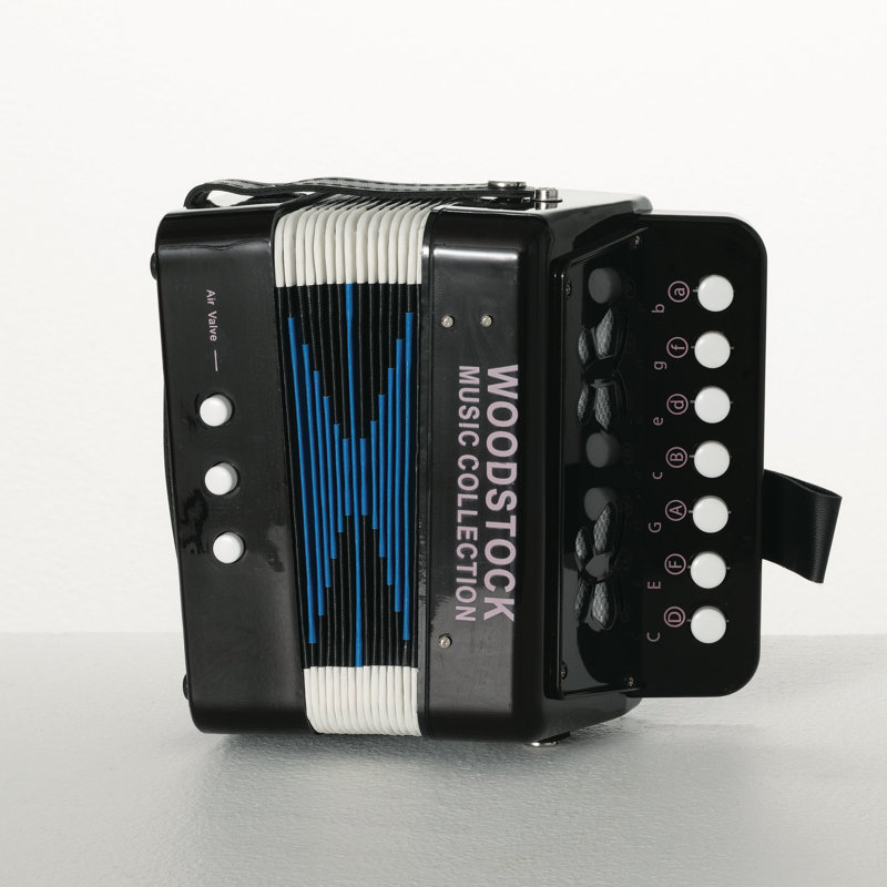 Accordéon pour enfants Woodstock - noir, Noir / blanc / bleu