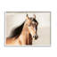 «Stupell Industries Brown Stallion Portrait», art de la giclée par Kari Brooks-93843006-93854581