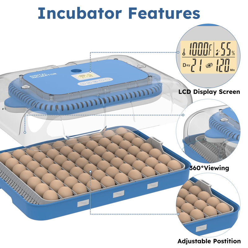 Incubateur d'œufs jusqu'à 70