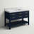 Carrie 48'' Single Bathroom Vanity with Top-1654995867-1718370248