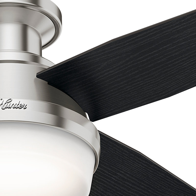 Dempsey Low Profile 44" 4 - Blade Indoor Flush Mount Small Room Ceiling Fan with Lights and Remote, Black/Chocolate Oak