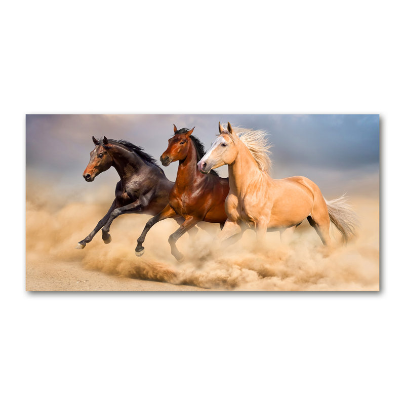 Horses In A Gallop - No Frame Print on Canvas, 50cm H x 100cm W