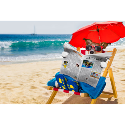 «Dog Siesta on Beach» par Damedeeso - photographie sur toile tendue