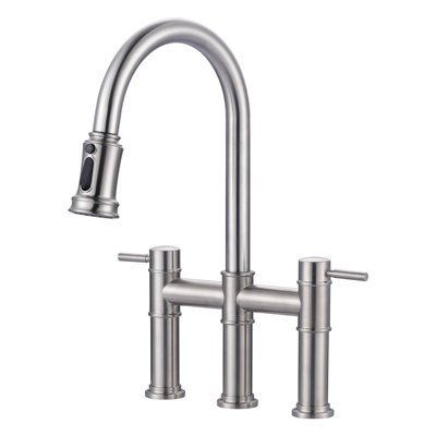 Aleasha Pull Out Kitchen Faucet