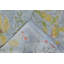 Paradiso Hand Knotted Wool Floral Area Rug in Blue/Gold/Caramel-1760950050