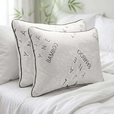 Ensemble de 2 coussins en duvet respirant avec technologie AeroKnit Ella Jayne