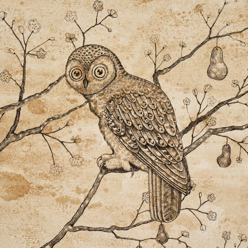 L’attesa Nella Notte Wallpaper, White