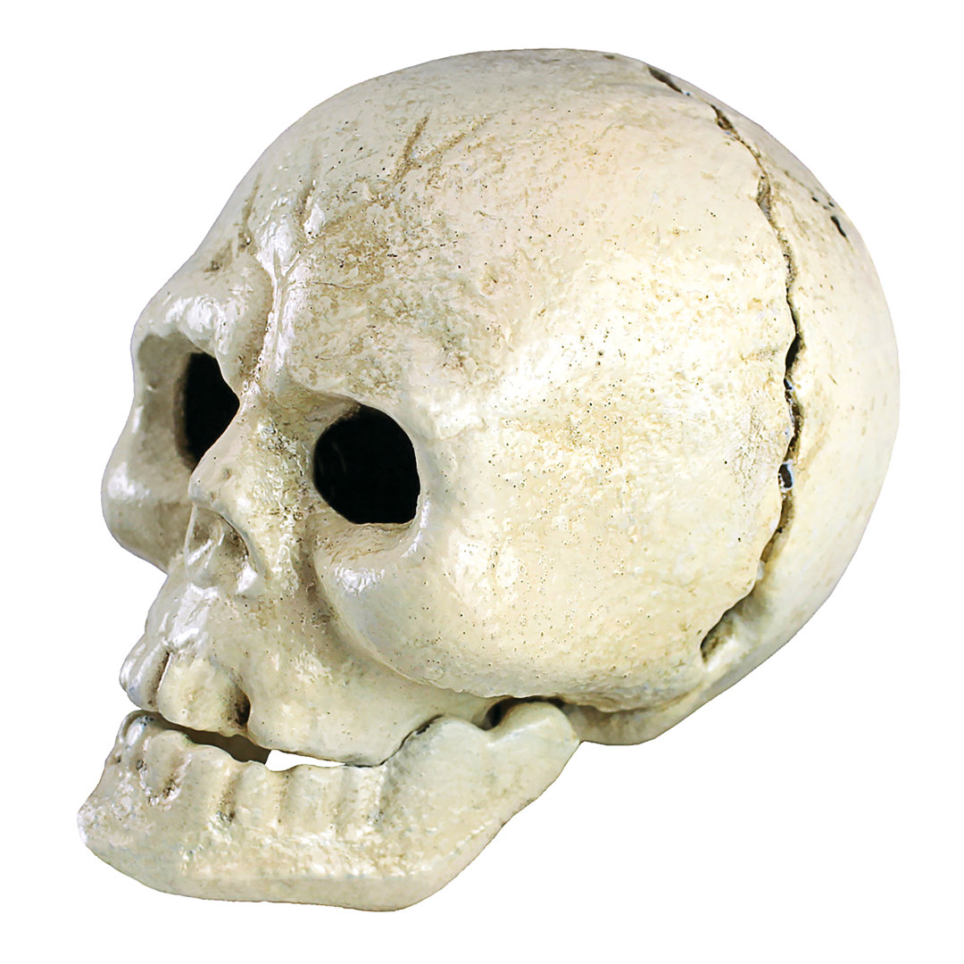 Pop Your Top Skeleton Skull Cast Iron Bottle Opener Design Toscano