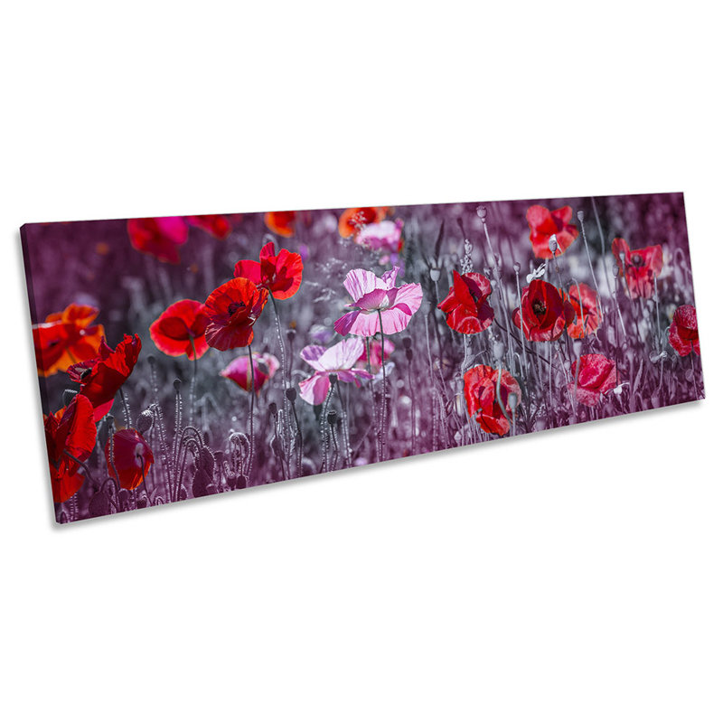 Pink Red Poppy Flowers - Wrapped Canvas Panoramic Print, 30.48cm H x 91.44cm W x 2cm D