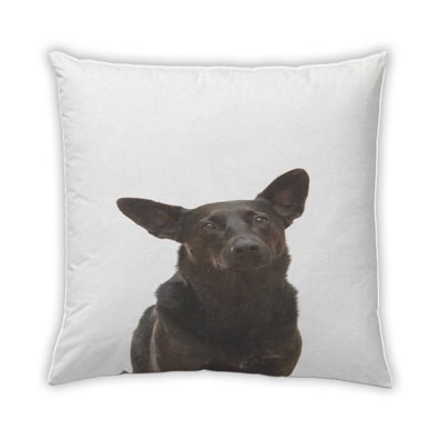 Coussin Dogs Dogs 17