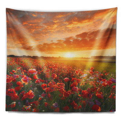 Abstrait magnifique coquelicot au coucher du soleil