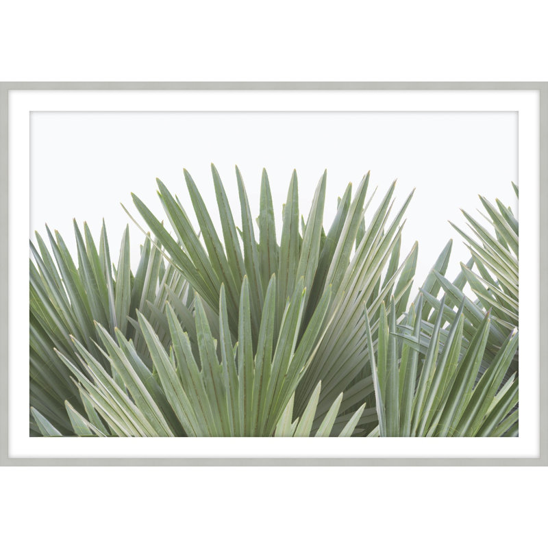 «Tropical Leaves», reproduction d'art encadrée, H 17,5 po x l 23,5 po
