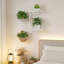 Plant Stand