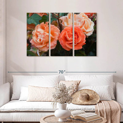 Roses hybrides orange Harnek
