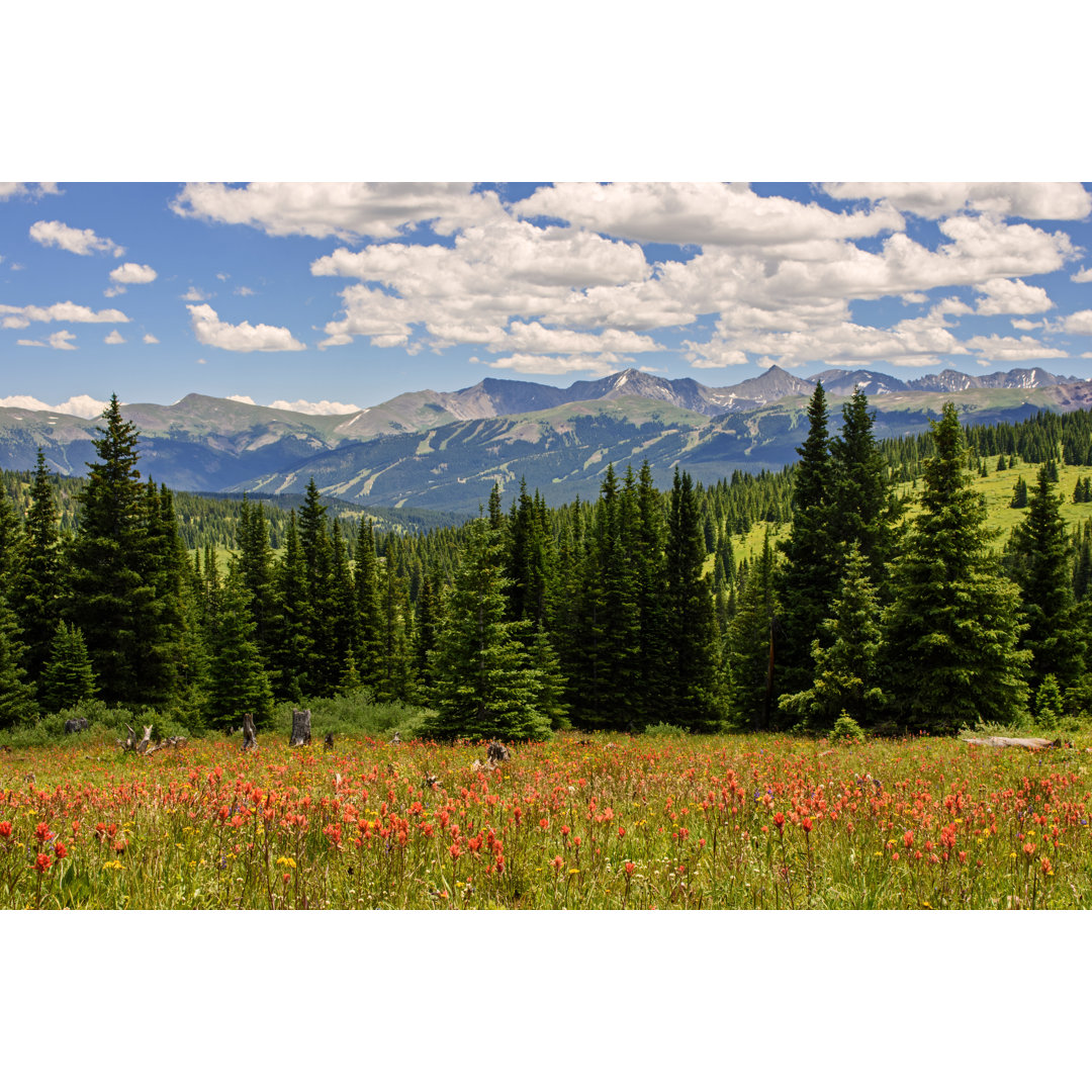 Rocky Mountain Alpine Meadow von MRaust - Druck auf Leinwand ohne Rahmen