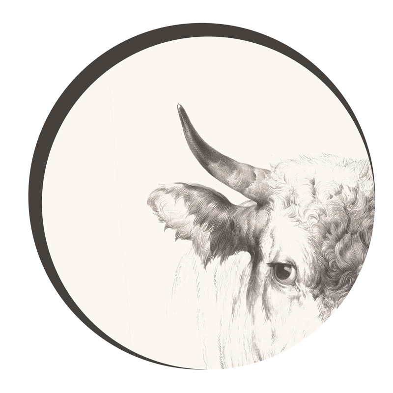 Anna Wilczopolska - Jasyk Animals Wall Decal