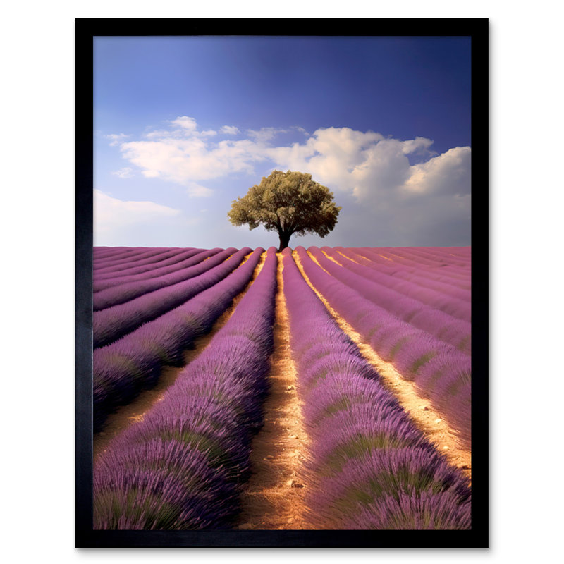Hosey Lavender Field Provence France Lone Tree Flower Purple - Single Picture Frame Print