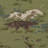 Pointers Fabric-103897594