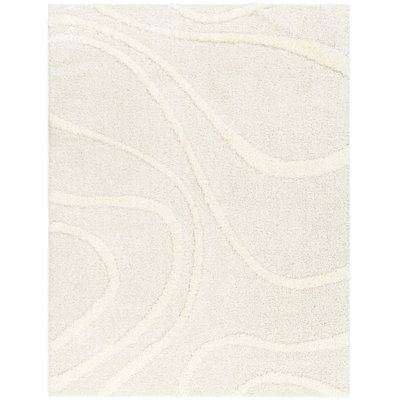 Ailey Machine Woven Shag Area Rug