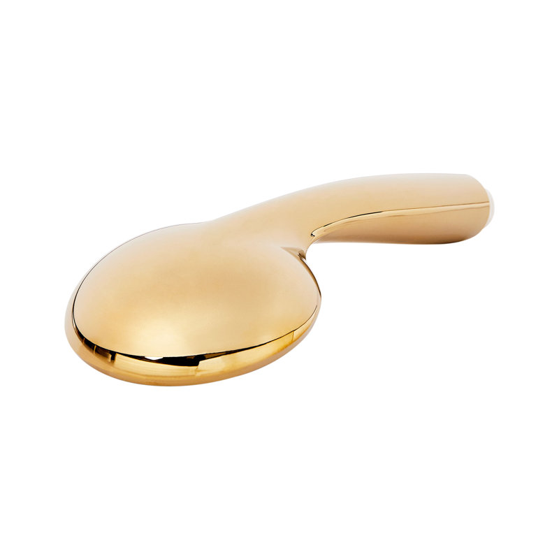 Shower Head and Hose Kit MACAY, Gold
