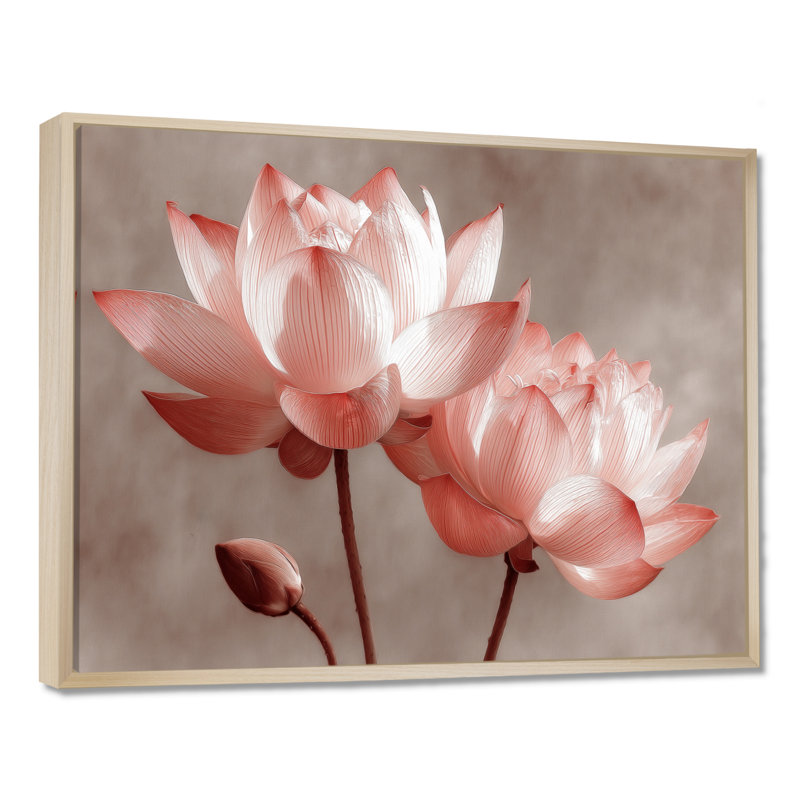 Radiant Lotus Blooms - Lotus Large, reproduction d'art sur toile encadrée florale rose, H 34 po x l 44 po, Cadre flottant