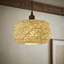Bjorn 15 cm H Novelty Pendant Shade ( Clip On )-28712008-24429363