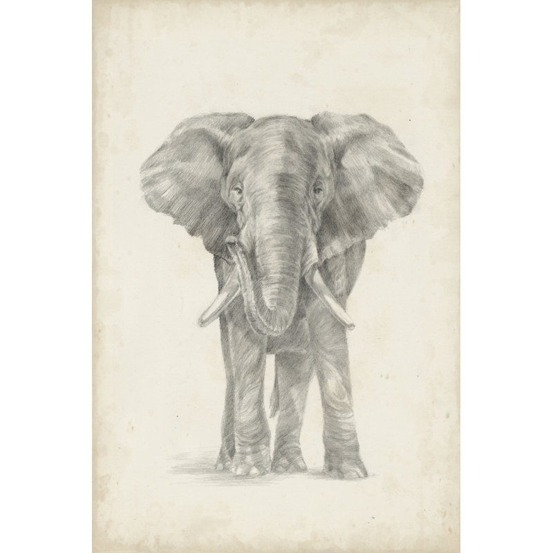 Elephant Sketch II by Ethan Harper - Painting, 122cm H x 81cm W, Wrapped Canvas