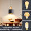 - Light Stainless Steel Pendant
