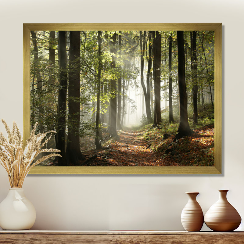«Green Fall Forest with Sun Rays - Forest», reproduction de photo, H 12 po x l 20 po, Impression encadrée, Doré