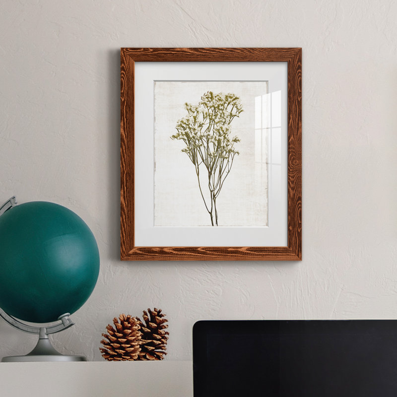 Farmhouse Pressed Flower II - peinture encadrée, Érable, H 20 po x l 17 po x P 1,5 po