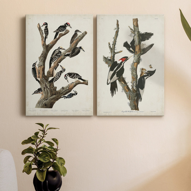 Pl. 417 Marias Woodpecker, toile tendue avec châssis - Prêt à accrocher, H 18 po x l 24 po x P 1 po