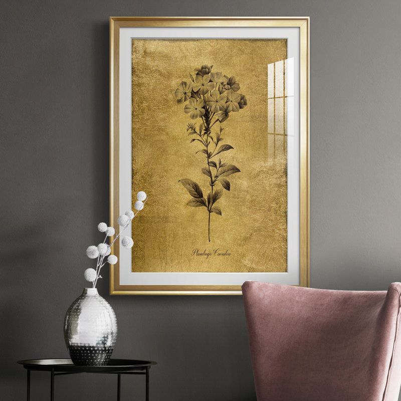 " Gold Sketch Botanical II " Painting Print, Gold, 36.5" H x 26.5" W x 1.5" D